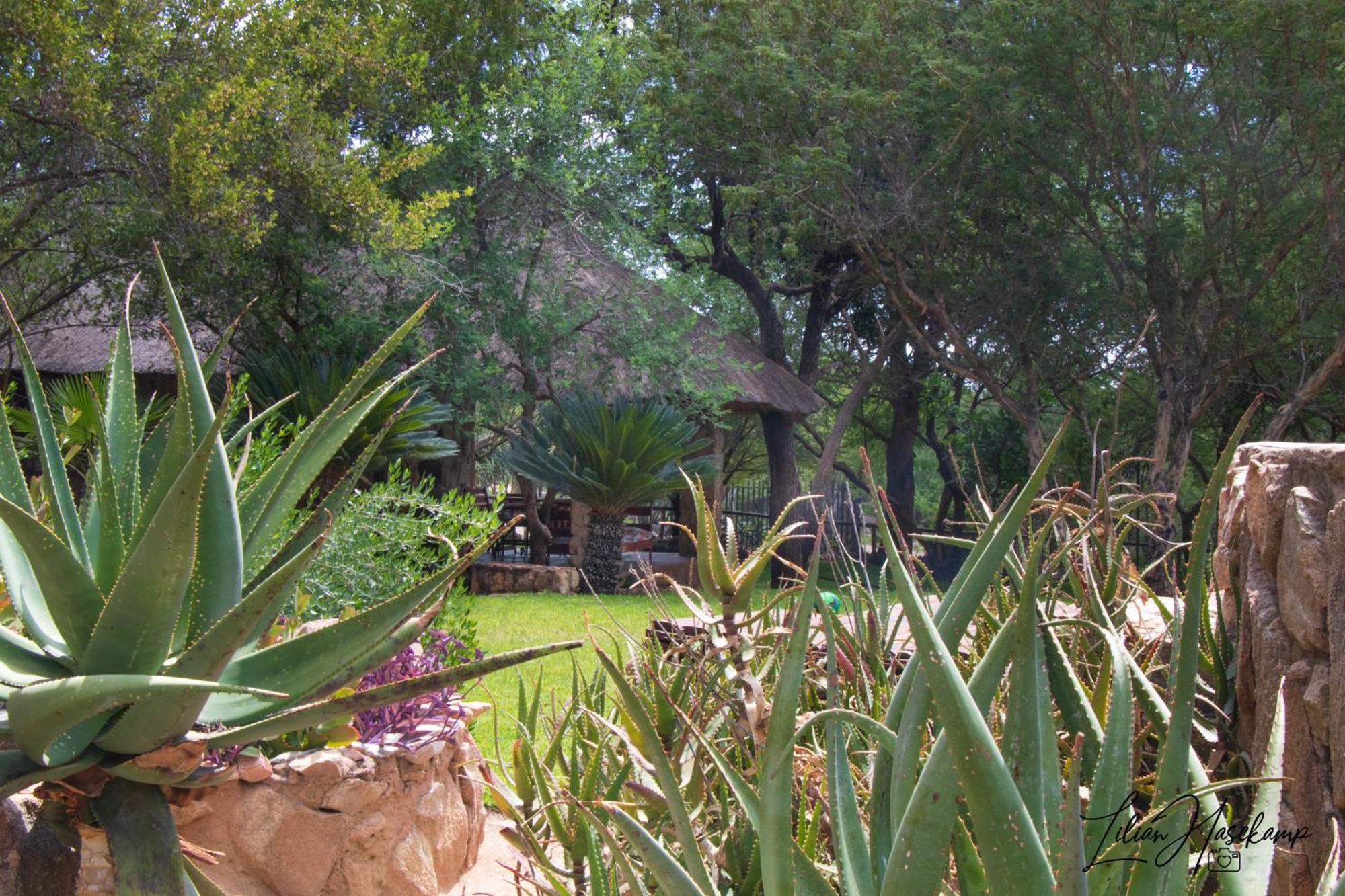 Hasekamp Family Bush Lodge Hoedspruit Ngoại thất bức ảnh