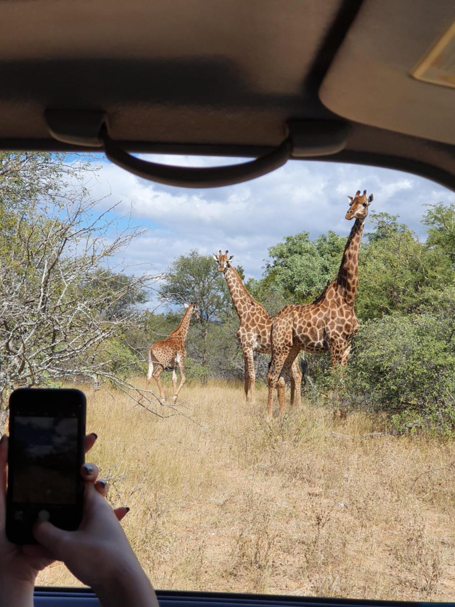 Hasekamp Family Bush Lodge Hoedspruit Ngoại thất bức ảnh