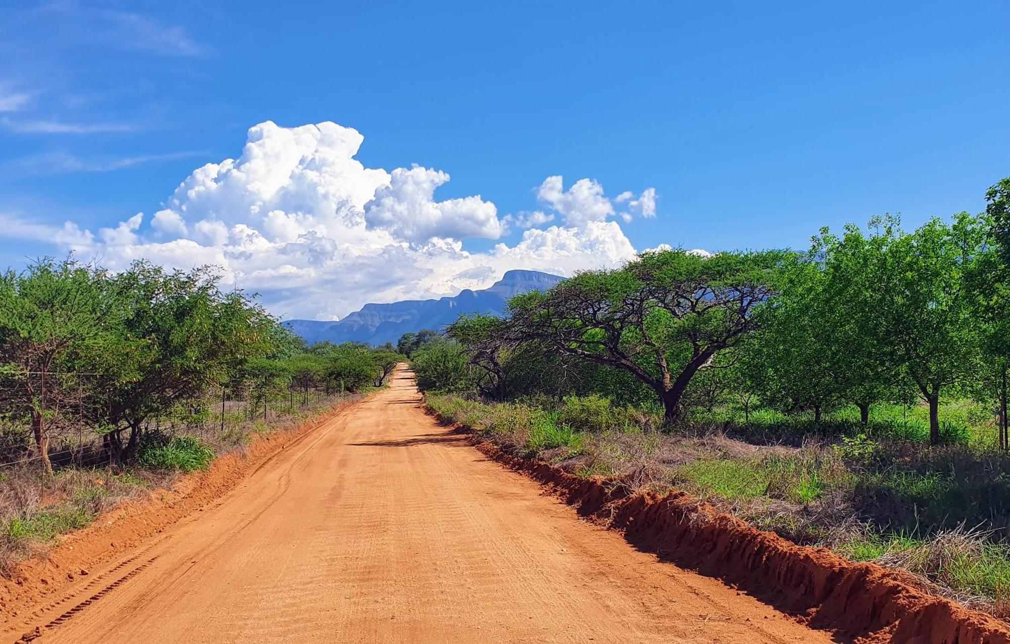 Hasekamp Family Bush Lodge Hoedspruit Ngoại thất bức ảnh